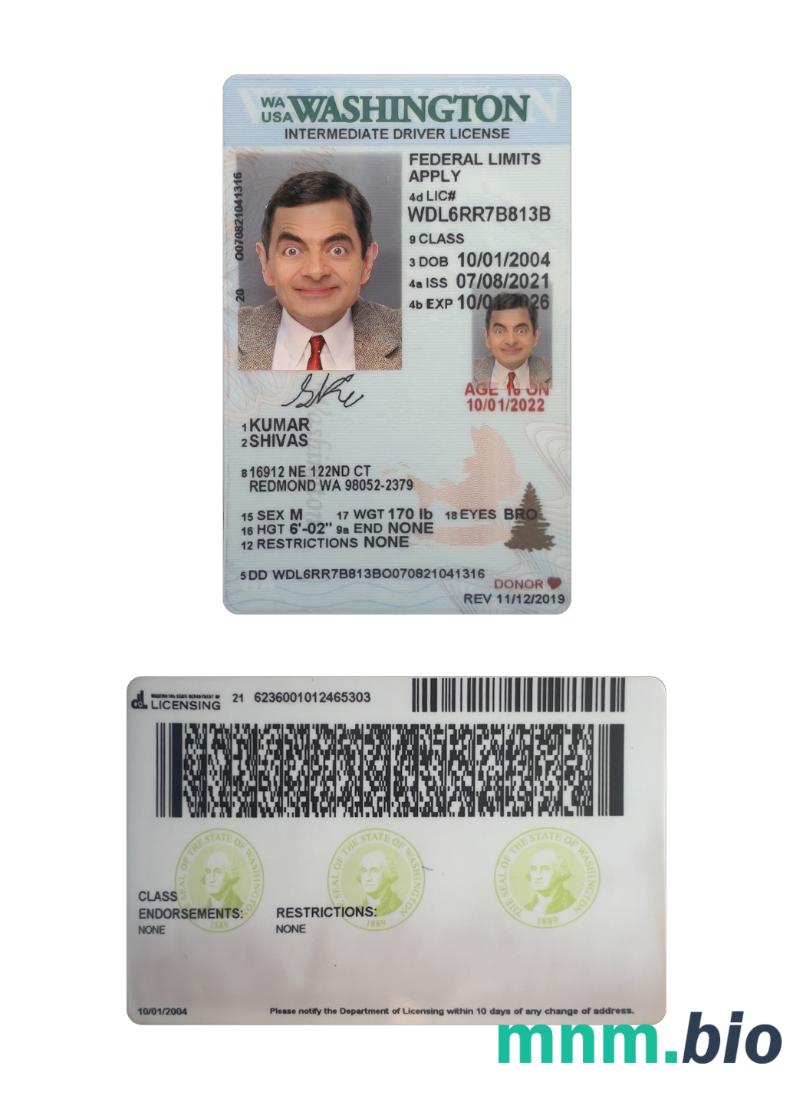 USA Washington under 21 intermediate driving license szablon in PSD format, with all fonts